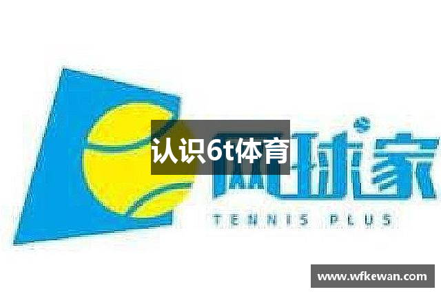 认识6t体育